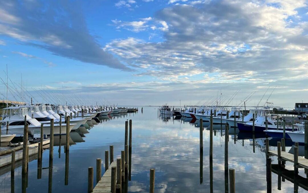 Exploring the Rich Marine Life of Outer Banks