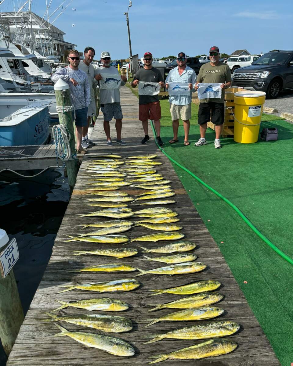 Mid-week catches